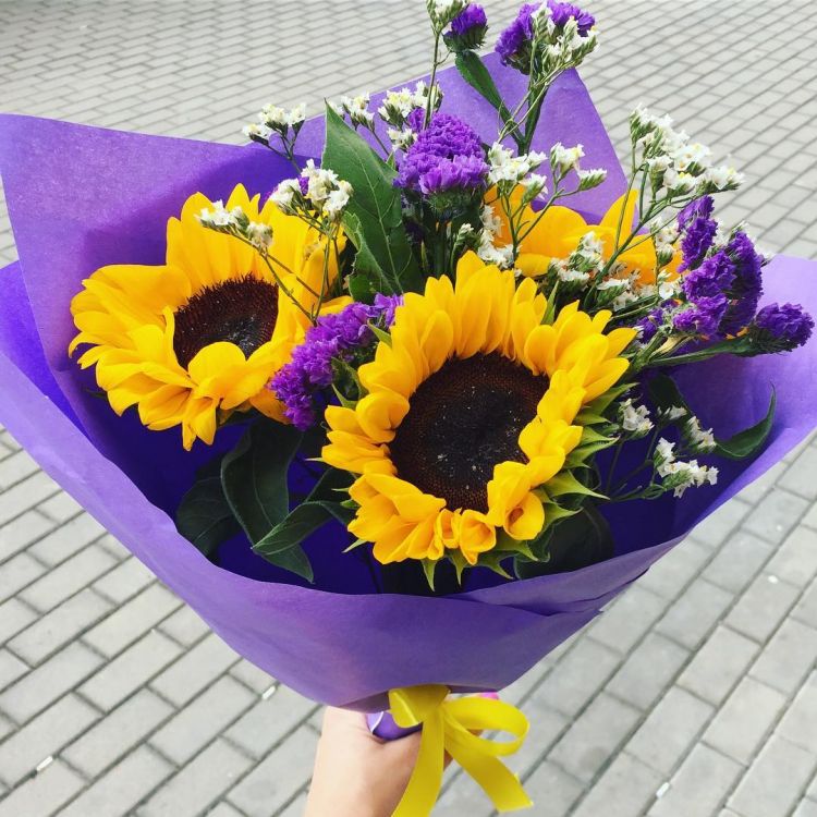 Чудо остров от 4 600 руб.